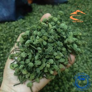 Nụ hoa tam thất bao tử sấy khô thủ công thơm tự nhiên (giá sỉ hàng cao cấp loại I) hàng chuẩn Dược Liệu Quý Lai Châu