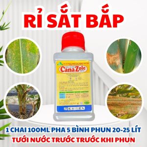 Thuốc đặc trị gỉ sắt bắp - rỉ sắt ngô CANAZOLE 250EC – GIÚP LÁ BẮP XANH KHỎE HẠN CHẾ RỈ SÉT KHÔ LÁ VÀNG LÁ