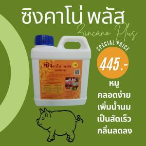 ซิงคาโน่ พลัส ไคโตซาน&พีมิกซ์ ขนาด 1L คลอดง่าย เพิ่มน้ำนม เป็นสัดเร็ว แข็งแรงโตเร็ว น้ำหนักดี กลิ่นลดลง
