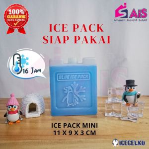 ICEGELKU ICE PACK MINI 11x9cm  ICE PACK SIAP PAKAI ICE GEL PACK KOTAK BLUE PACK ICEPACK COOLER BOX ICEGEL COOLER BAG ICE PACK AIR COOLER ICE PACK TAS ASI