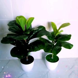 Artificial plant pokok hiasan for Home fiddle fig tree