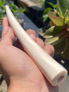 pipa gg asli lokal bulat lengkung gemuk tapi manis panjang 18cm mulus