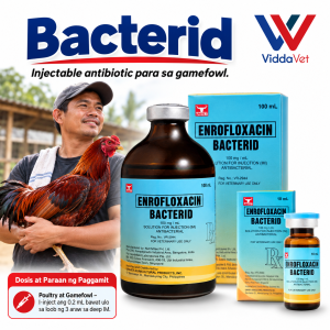 Viddavet Bacterid 100 ml Unahco Anti-bacterial for Pets and Livestock bacterid for piglets bacterid injectable chicken