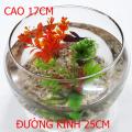 Bể Cá Tròn Lớn - Hồ Cá Để Bàn - Chậu Cá Thủy Tinh HT-1 25x25x17. 