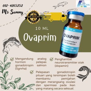 OVAPRIM X 10ML / INDUCED SPAWING / KAWALAN PEMBIAKAN IKAN / UNTUK IKAN / MELEPASKAN HORMON (SGNRHA) / UNTUK KOLAM / AKUAKULTUR