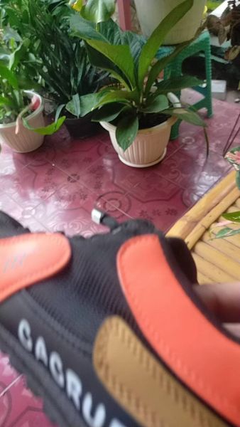 Buyer review video 2