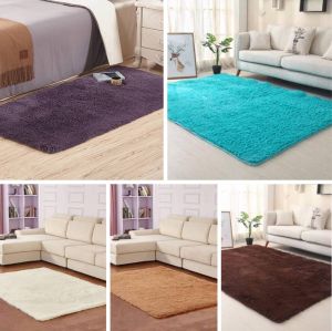 60x90cm Shaggy Fluffy Soft Carpet Karpet Bulu Lembut Floor Mat (ABFM-006)
