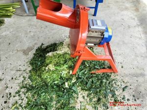 Máy băm chuối mịn nguyên cấy  máy băm nhanh nhỏ mịn với mô tơ 15kw