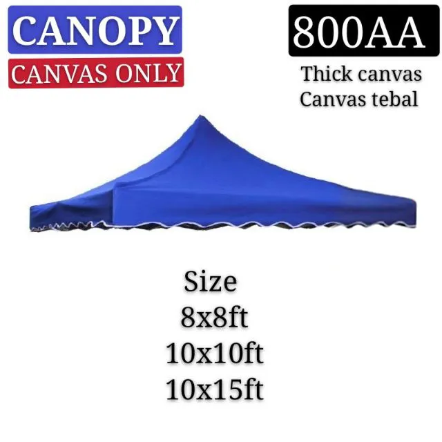 Canvas canopy 10x10 best sale