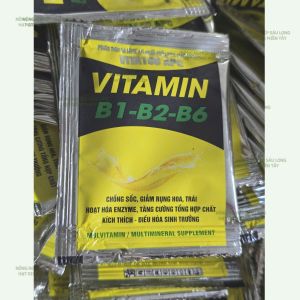 3 gói Phân B1 B6 B2 10ML chuyên thúc nở sớm hoa to nở đồng loạt hiệu quả tốt với hoa hồng lan cúc đào hoa giấy