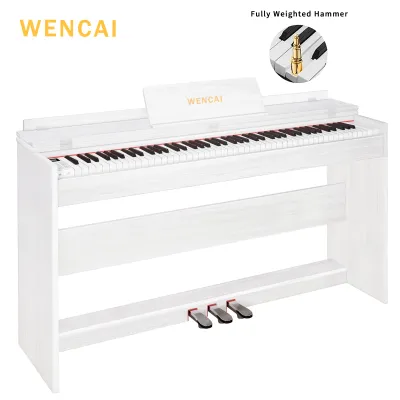 WENCAI Digital Piano 88 Keys Upright Fully Weighted Electric Pianos Wooden Classic 88 Keys Hammer ActionElectronic Piano Keyboard for BeginnerProfessionalTriple Pedal【1Year Warranty】