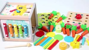 9 in 1 Montessori Permanence Carrots Toys Child Wooden Shape Sorting & Matching Educational Toys for Kid Over Age 1-Year-Old