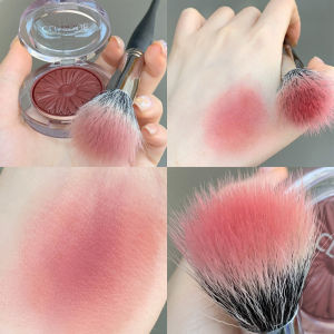 Professional Powder Brush & Blusher Contour Powder Brush: A Comprehensive Guide