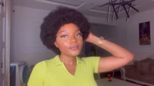 G&T Wig 70s Afro Wigs for Black Women Afro Puff Wigs Bouncy and Soft Natural Looking Daily Party Cosplay Costume Use(1B)
