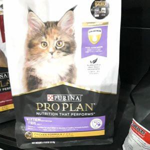 Makanan Kucing Pro Plan Kitten 35 kg: Pilihan Terbaik untuk Anakan