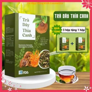 Trà Đông TRùng Dây Thìa Canh Hỗ Trợ Giảm Cân Kiểm Soát Đường Huyết (Mua 3 Tặng 1)