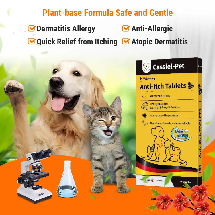 Autoimmune Disease Treatment For Pillow Foot In Cats Cassiel Pet