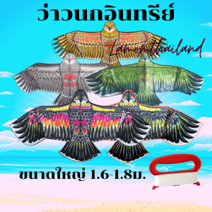 ว่าวนกอินทรีย์ ขนาดใหญ่ 1.9 เมตร โครงหน้า แถมเชือก100 เมตร พร้อมที่จับ พร้อมส่งทุกวัน