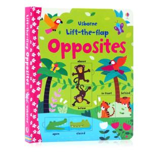 Usborne Lift-the-flap Opposites Board book by Melisande Luthringer Original English books