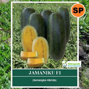 Benih Semangka Daging Kuning JAMANIKU F1 isi 30 Butir Tipe Inul Cap Mutiara Bumi