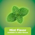 Basic Care Nicotin Gum Mint Flavor 310 Count (Packaging May Vary). 