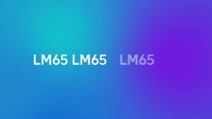 LING-MEI LM65 Badminton String (0.65mm)