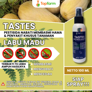 Obat Hama Daun Labu / Obat Hama Labu Kuning / Obat Hama Sayuran Labu / Obat Hama Tanaman Labu / Obat Hama Labu / Obat Pembasmi Hama Tanaman Buah Labu
