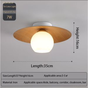 โคมไฟเพดานห้องโถงที่ทันสมัยสำหรับบ้านที่เรียบง่ายเรียบง่ายและมีสไตล์