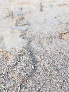 RC 1/10 Jimny Wpl C74 2.4g Full-Scale Warrior Ja11 4wd Climbing Track Remote Control Car Model ChildrenS Remote Control Toy