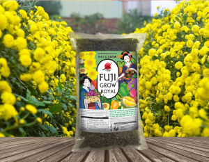 Phân bón mai vàng FUJI GROW ROYAL Nhật Bản Dưỡng thân lá cành 2kg