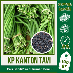 RUMAH BENIH MURAH - 100 GRAM BIJI KACANG PANJANG KANTON TAVI UNGGULAN