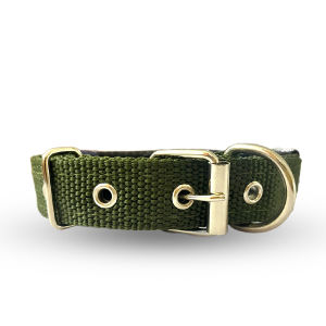 Vòng Cổ 2 Lớp Có Lót Đệm Dành cho Pet Từ 2Kg - 25KG - Chắc Chắn Dày Dặn