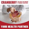 Cranberry Extract Capsules, 3000 mg Per Serving, Kidney Cleanser, Supports Urinary Tract Health, Bladder Health, Non-GMO, 120 Capsules. 
