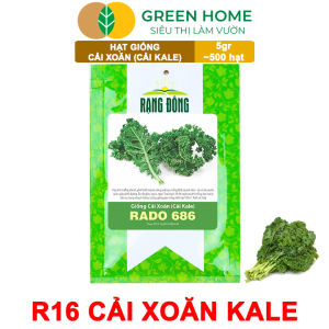 Hạt Giống Cải Xoăn Kale Greenhome Gói 5g~500 hạt Dễ Trồng Quanh Năm Nảy Mầm Cao Thu Hoạch Nhanh Năng Suất Cao R16