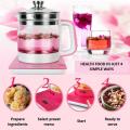 [LazChoice] [FREE ADAPTER] 养生壶汤锅 1.8L Lopol Capacity Health Pot Multifunction Glass Electric Kettle Teapot Kitchen Boiler Cooker Soup Sup. 