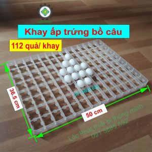 Khay Đảo Nghiêng Làm Máy Ấp Trứng Chim Bồ Câu - Khay Nhựa cho chim