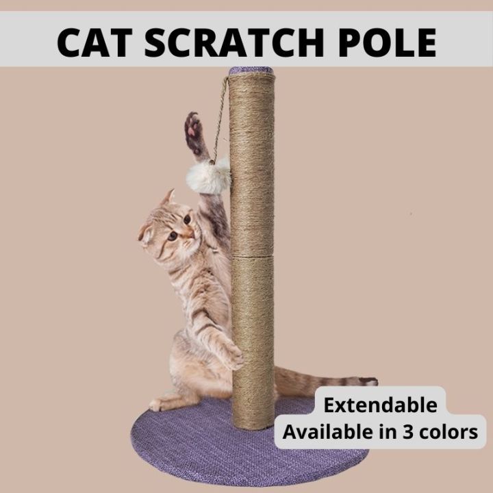 Cat Scratch Pole 64 x 30cm With Dangling Ball Scratcher Wood Kitten