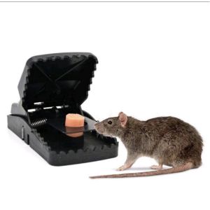 alat jepit tikus kuat perangkap tikus super trap tikus jepitan tikus  SH E20