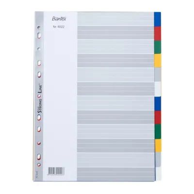 BANTEX 6022 A4 12 WARNA DIVIDER PEMBATAS BINDER