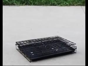 ❤️❤️ Daycare 1 Layer  Cage Small Bold Dog Cage Cat House Rabbit Cage Folding Cage Heavy Duty  Collapsible Cage