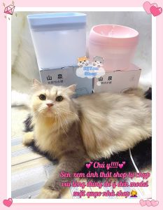Máy uống nước lọc nước tự động cho mèo chó thú cưng Cat Forest