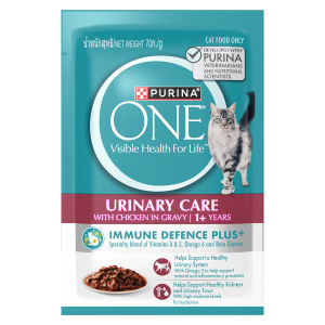 [Bundle of 12/24] Purina ONE Cat Wet Food Pouch 70g