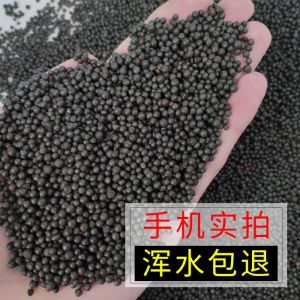 Aquarium Substrate Set for Planted Tanks: Clay Pebbles for Plants Leca Clay Pebbles Sand Tumbuhan Air Lumpur Keramik Pasir Baja Asas Premium Quality High Performance - Reliable Utili...