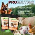 PROBIOTICS 500g CHC Agritech for livestock; poultry; exotic birds; pigeons; dogs & other pets  CHC AGRITECH PROBIOTICS. 