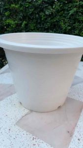 กระถาง 12 นิ้ว สีขาว สินค้าพร้อมจัดส่ง