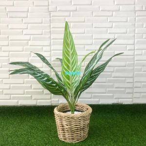 Pohon Artificial Daun Aglonema Hijau Strip X12 Semilatex Cover Anyaman Rotan Bulat Dekorasi Ruang Tamu