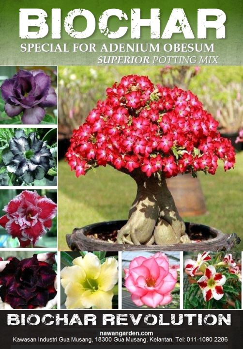 New [Harga Runtuh] Special Adenium Soil Premium Biochar for Adenium ...