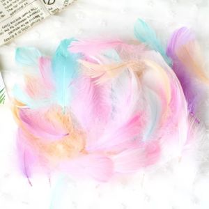 GOUPDO 50PCS Lông vũ tự nhiên Lông ngỗng tự nhiên Kết cấu mềm mại Đầy màu sắc Đồ trang trí lông vũ nhiều màu  Nhẹ Lông vũ nhiều màu Trang trí sổ lưu niệm