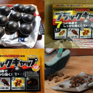 Thuốc diệt gián sinh học Nhật Bản 12 viên diệt tận gốc gián kể cả gián đức