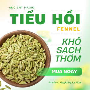 100g FENNEL khô thơm sạch | Gia vị - Spell (Witchcraft)... | Ancient Magic by Ly Hỏa